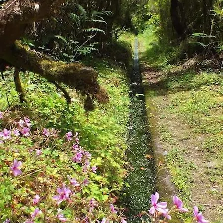 Santana Garden Wifi Park Quiet Area 12d