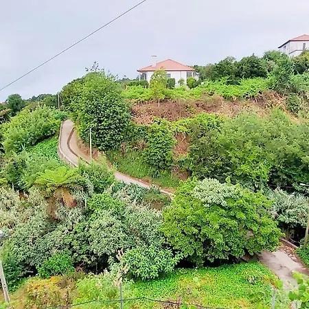 Santana Garden Wifi Park Quiet Area 12d * Santana (Madeira)