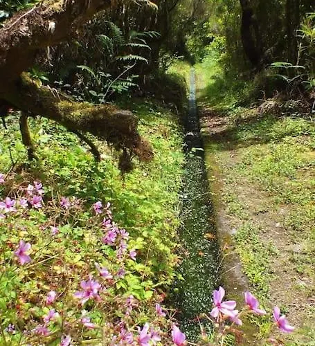 Santana Garden Wifi Park Quiet Area 12d